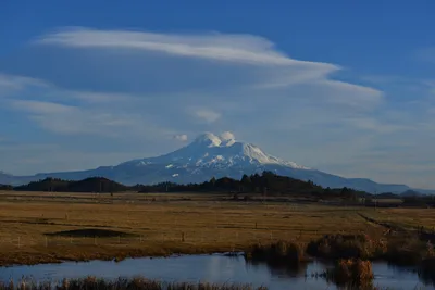 DSC_6009 (Large).JPG